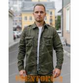 ������� �������� Freedom | ���� Olive